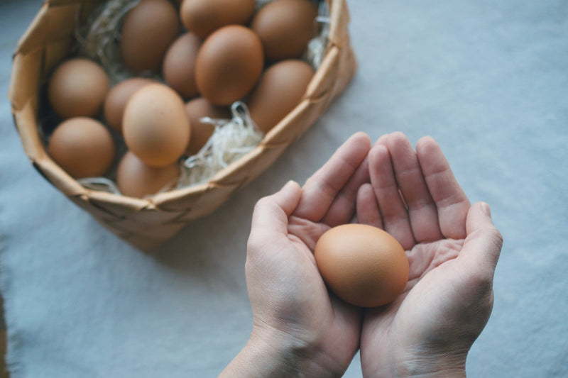 【ブルーチーズ】バスクチーズケーキ  4号 1ホール