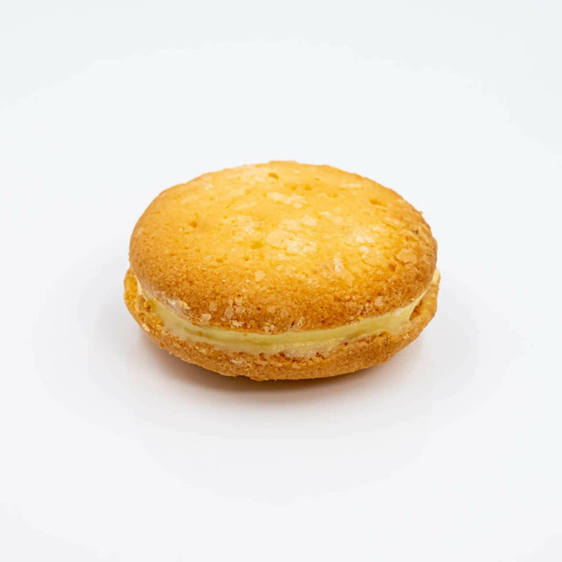 Product Image-3