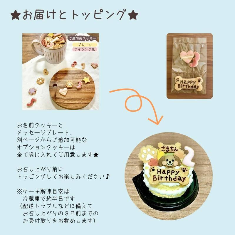 【冷凍】＜犬用＞わんこのお花ケーキ｜ケーキ｜わんこケーキgioia |