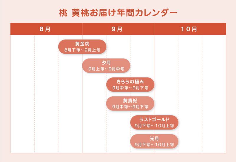 品種おまかせ白桃・黄桃｜桃｜株式会社アンスリーファーム