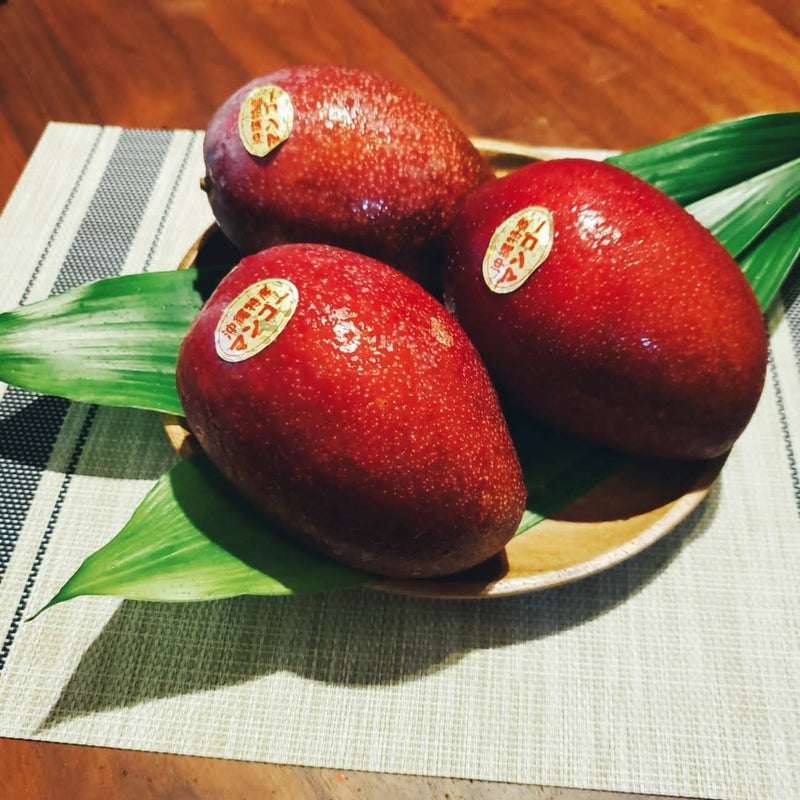 Product Image-2
