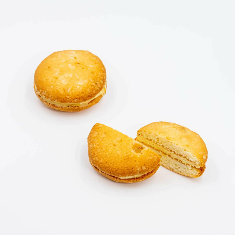 Product Image-2