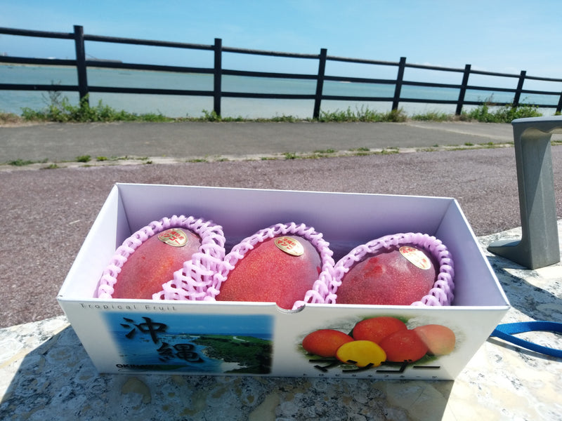 Product Image-10