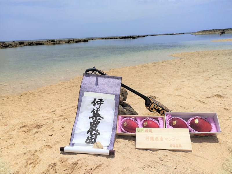 Product Image-4