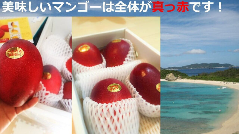 Product Image-6