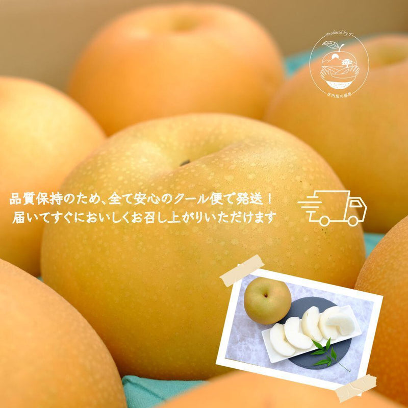 Product Image-5