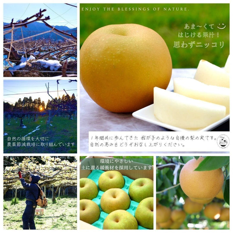 Product Image-3