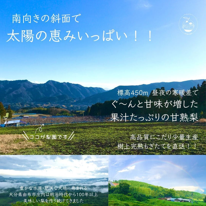 Product Image-4