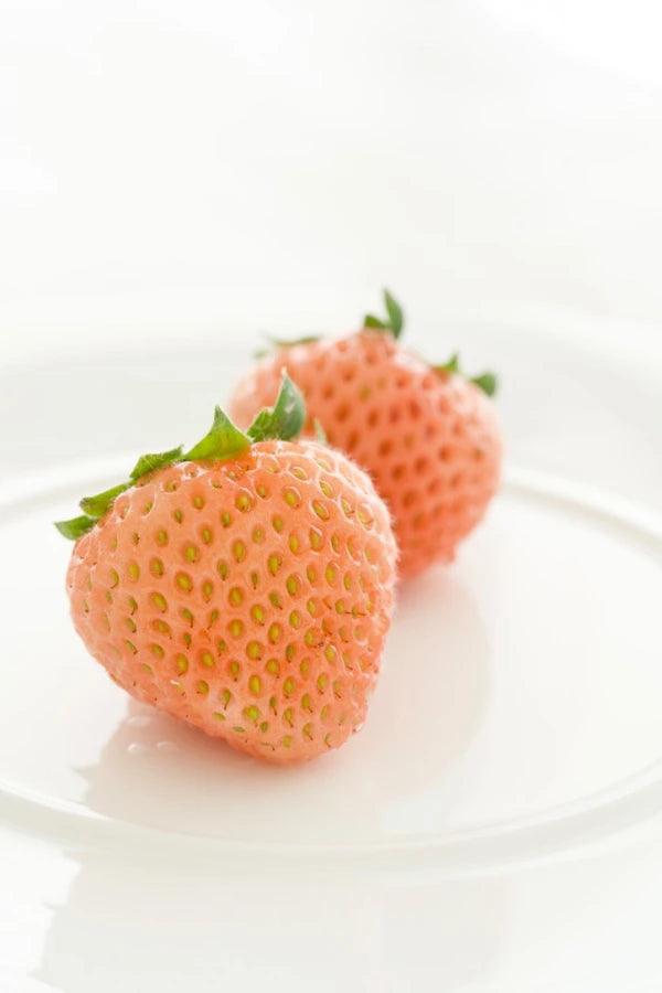 【冷蔵】レア品種『桃薫』セット | いちご | Agri charm - スイーツモール