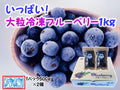 【冷凍】冷凍ブルーベリー | ブルーベリー | すみれファーム