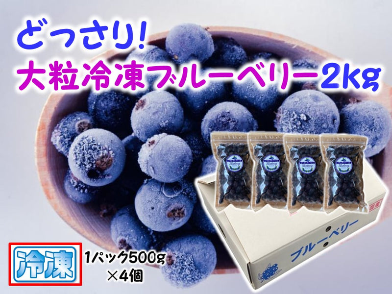 【冷凍】冷凍ブルーベリー | ブルーベリー | すみれファーム