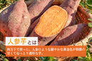 いも焼き菓子 ひがしやま。ミニ(10枚) | 焼き菓子 | SHIMANTO ZIGURI ストア(四万十ドラマ)