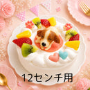 Product Image-2