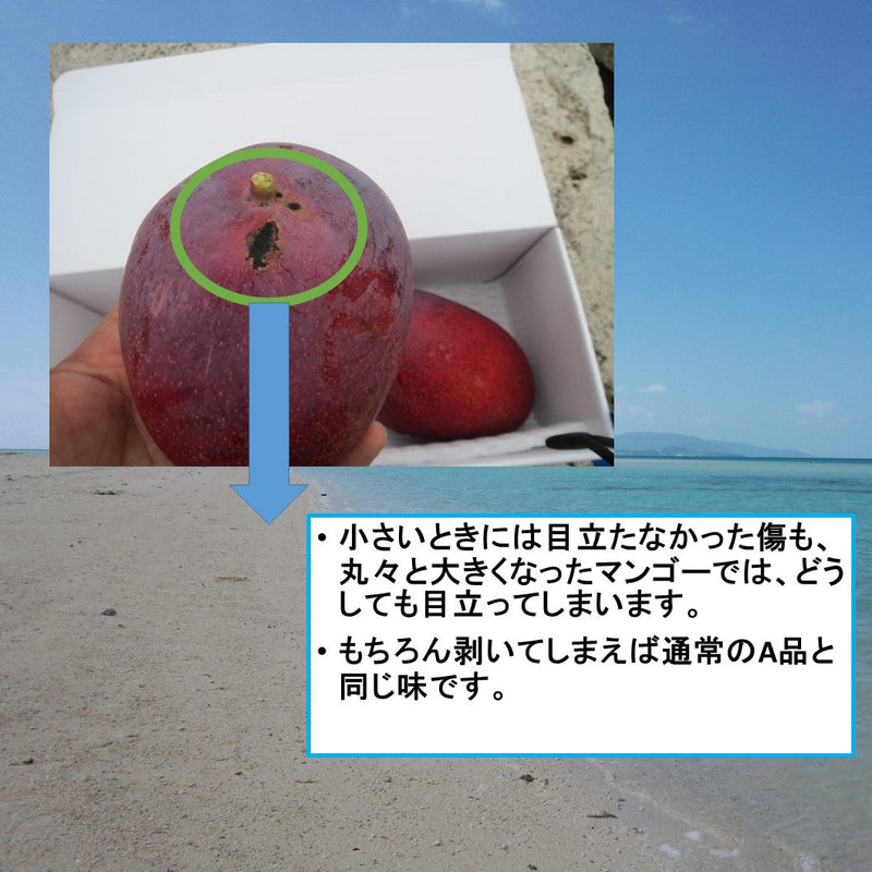 Product Image-8