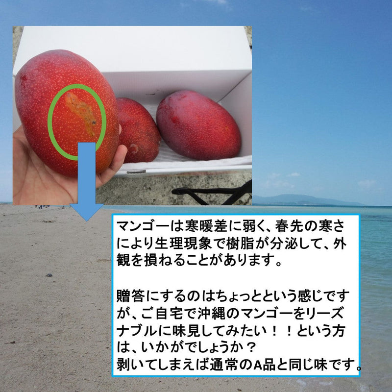 Product Image-7