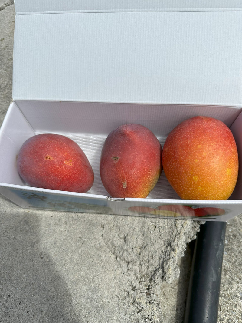Product Image-9