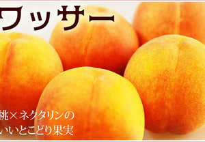 【冷蔵】カリッ！サクッ！新感覚フルーツ！【ワッサー】｜ フルーツ ｜ くだもの屋CO.JP