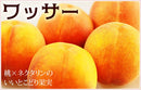 【冷蔵】カリッ！サクッ！新感覚フルーツ！【ワッサー】｜ フルーツ ｜ くだもの屋CO.JP