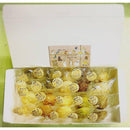 【店頭受取】10種のプレミアム無添加ヴィーガンクッキー ちょこっとギフト | ビーガン クッキー・ヴィーガンスイーツ クッキー | 忍菓ちょいまる - スイーツモール