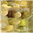 【店頭受取】10種のプレミアム無添加ヴィーガンクッキー ちょこっとギフト | ビーガン クッキー・ヴィーガンスイーツ クッキー | 忍菓ちょいまる - スイーツモール