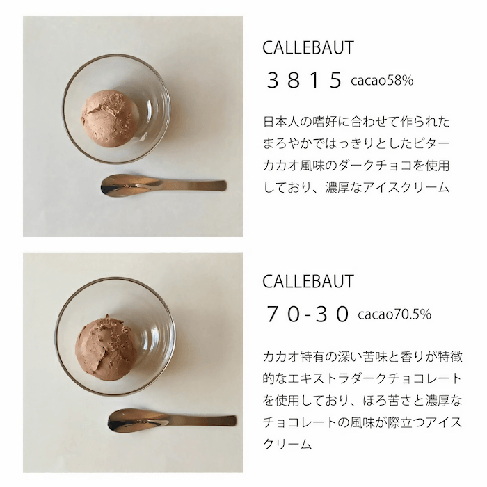 【冷凍】チョコレートアイス 10種詰合せ | アイス | CHOCODAKE - スイーツモール