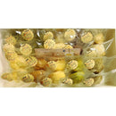 【常温】10種のプレミアム無添加ヴィーガンクッキー ちょこっとギフト | ビーガン クッキー・ヴィーガンスイーツ クッキー | 忍菓ちょいまる | ヴィーガンクッキー | ヴィーガンスイーツ - スイーツモール