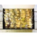 【常温】10種のプレミアム無添加ヴィーガンクッキー ちょこっとギフト | ビーガン クッキー・ヴィーガンスイーツ クッキー | 忍菓ちょいまる | ヴィーガンクッキー | ヴィーガンスイーツ - スイーツモール