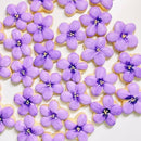 【常温】すみれのアイシングクッキー 10袋セット｜クッキー｜samuelcookies - スイーツモール