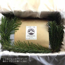 【常温】しあわせのヴィーガンシュト―レン2022｜焼き菓子｜てんねんや - スイーツモール