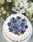 【冷凍】ブルーベリーチーズケーキ ホール ｜チーズケーキ｜フォーチュンキッチン - スイーツモール