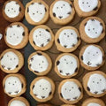【常温】シマエナガクッキー30個入り｜クッキー｜森のACHA - スイーツモール