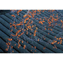 【常温】柿渋飴宇治抹茶 | 飴 | 京都華小路 - スイーツモール