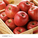 【店頭受取】太陽いっぱいのゼリー | ゼリー | 株式会社もりもと - スイーツモール