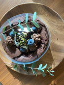 【冷凍】ガトーショコラホール 5号｜ガトーショコラ｜森のACHA - スイーツモール