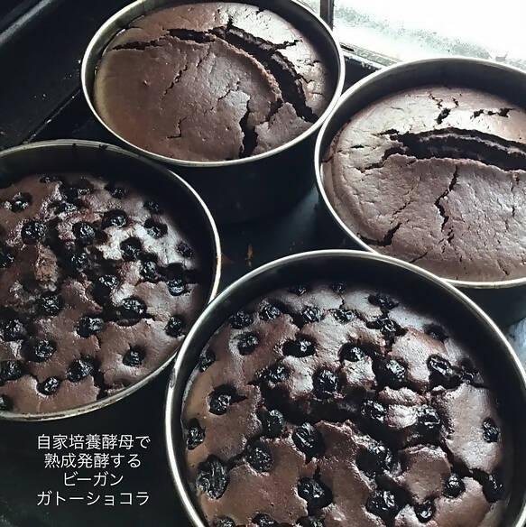 【冷蔵】ガトー・オ・ショコラ ヴィーガン/プラントベース｜ケーキ｜てんねんや - スイーツモール