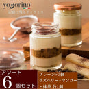 【冷凍】ティラミス 6個入り | ティラミス | yogorino（ヨゴリーノ） - スイーツモール