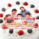 【冷凍】バースデー写真ケーキ | ケーキ | 写真ケーキのサンタアンジェラ | ブルーベリー ケーキ - スイーツモール