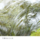 【店頭受取】どら焼き | どら焼き | 株式会社もりもと - スイーツモール