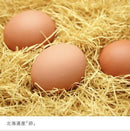 【店頭受取】もりもと かすていら | カステラ | 株式会社もりもと - スイーツモール