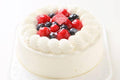 【冷凍】生デコレーションケーキ | ケーキ | 菓子司 東陽軒 - スイーツモール