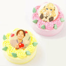 【冷凍】イメージカラーのフラワー写真ケーキの通販・お取り寄せ｜ケーキ｜いちごおじさんの洋菓子工房 - スイーツモール