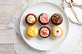 【冷凍】カップケーキアソートセレクション｜ケーキ｜Bellas Cupcakes-ベラズカップケーキ-ケーキ-Bellas Cupcakes-ベラズカップケーキ