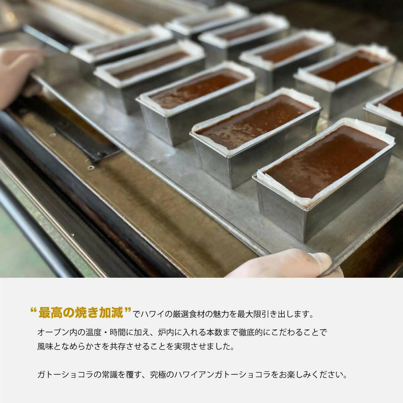 【冷凍】贈答用 ロイヤルハワイアンショコラ | チョコレートケーキ | ロイヤルハワイアンファクトリー - スイーツモール
