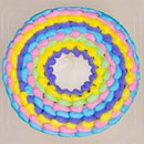 【冷凍】カラフルシフォンケーキ | シフォンケーキ | blanctigre〜due〜(ブランティーグル) - スイーツモール