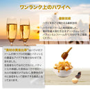 【冷凍】贈答用 ロイヤルハワイアンチーズケーキ | チーズケーキ | ロイヤルハワイアンファクトリー | ハワイアンケーキ - スイーツモール