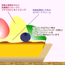 【冷蔵】フルーツタルト | タルト | ラ メゾンジュ-タルト-ラ メゾンジュ