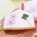 【常温】合格祈願クッキーセット | 焼き菓子 | パティスリーアングレーズ - スイーツモール