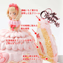 【冷凍】クリスマス限定 立体ケーキプリンセス 5号 | ケーキ | 写真ケーキのサンタアンジェラ - スイーツモール