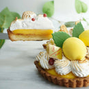 【冷凍】ふわふわメレンゲをのせた瀬戸内レモンタルト | タルト・瀬戸内 レモン ケーキ | Calme（カルム）|レモン ケーキ お 取り 寄せ - スイーツモール