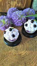 【店頭受取】ブルーベリーチーズケーキ 2個セット｜チーズケーキ｜フォーチュンキッチン - スイーツモール